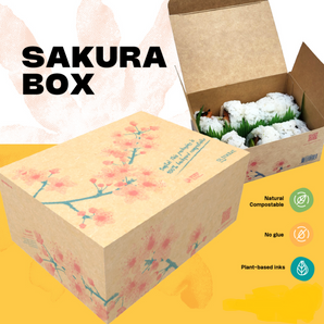 Boîtes (Sakura)